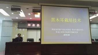 省農(nóng)業(yè)院校科技推廣服務聯(lián)盟專家赴拜泉縣指導食用菌生產(chǎn) 備春耕科技支農(nóng)活動系列報道之二