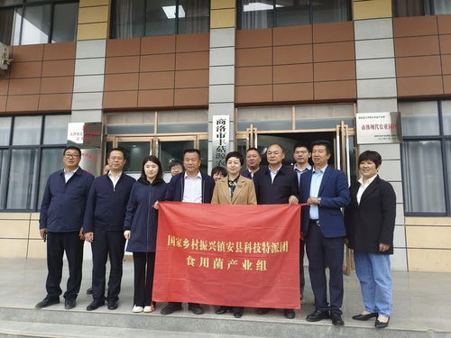 國家科技特派團食用菌體系專家在大坪鎮(zhèn)開展科技服務