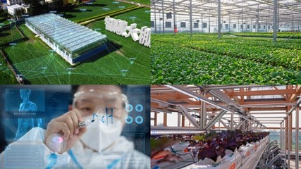 智慧工廠智慧工廠AE模板下載_光廠(VJ師網)