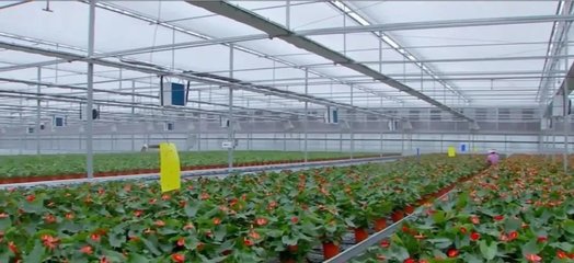 泰州:建設農(nóng)業(yè)強市 在推進農(nóng)業(yè)現(xiàn)代化上走在前