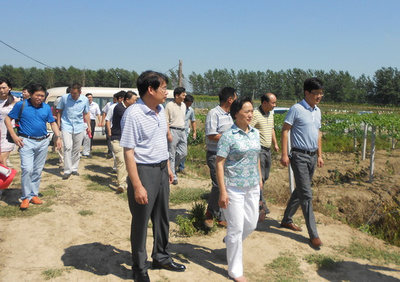 信陽(yáng)農(nóng)林學(xué)院開展&ldquo;送科技下鄉(xiāng)&rdquo;活動(dòng)