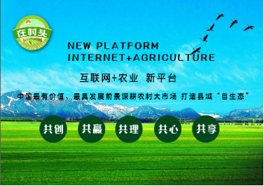 &ldquo;互聯(lián)網(wǎng)+&rdquo;優(yōu)秀案例:&ldquo;在村頭&rdquo;益農(nóng)信息社電商平臺(tái)
