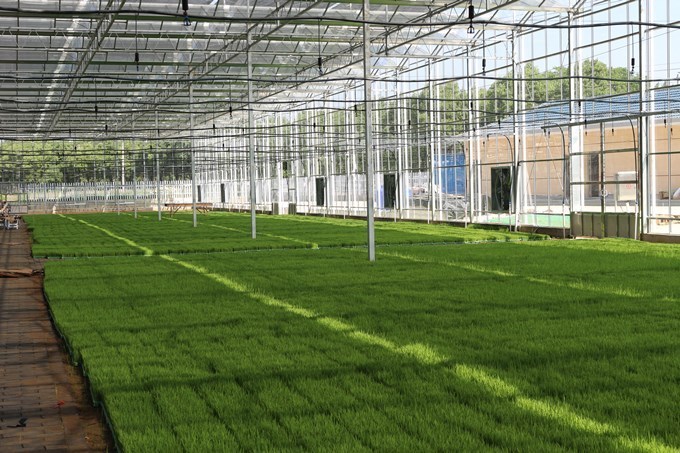 【大國&ldquo;糧&rdquo;策】南京高淳:打造&ldquo;金扁擔&rdquo;助力農(nóng)業(yè)現(xiàn)代化高質(zhì)量發(fā)展