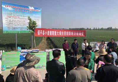 鎮(zhèn)平縣科協(xié):志愿踐行雷鋒精神 科技服務鄉(xiāng)村振興