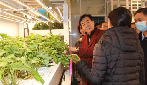 政府 旅游 慈善多位行業(yè)領導蒞臨上蔬源參觀考察