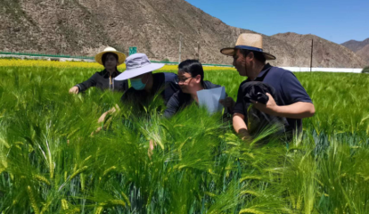 提升創(chuàng)新能力 推動成果轉(zhuǎn)化--州農(nóng)技站2022年度&ldquo;三區(qū)&rdquo;科技服務工作紀實