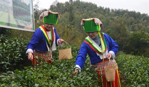 如今的賀州鄉(xiāng)村,已發(fā)生這么大變化,不信你來看看