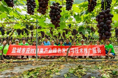 科技服務(wù)中心開展暑期田間課堂科普教育活動(dòng)