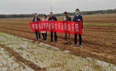 河南省蔬菜產(chǎn)業(yè)科技特派員服務(wù)團(tuán)赴民權(quán)縣開展科技服務(wù)