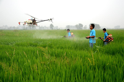 大觀區(qū):科技賦能 夯實(shí)糧食安全