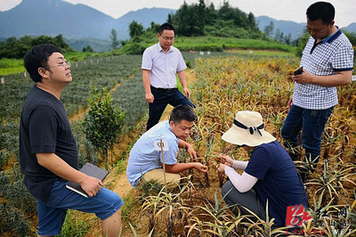 省農(nóng)科院科技專家服務(wù)團(tuán)深入龍山田間地頭助力產(chǎn)業(yè)發(fā)展