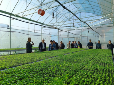 東川區(qū)現(xiàn)代農(nóng)業(yè)產(chǎn)業(yè)園建成投入運(yùn)行，賦能農(nóng)業(yè)科技服務(wù)新篇章